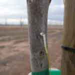 agtech2
