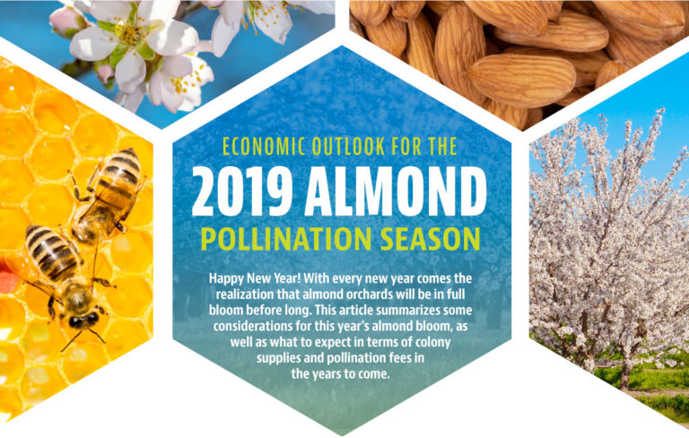 Economic Outlook for the 2019 Almond Pollination Season