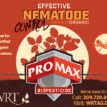promaxwebad