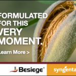 SyngentaAdMedium