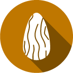 appleIcon