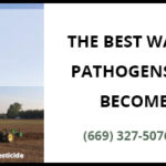 TriClor-Email-Ad_0619