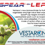 VestaronAd