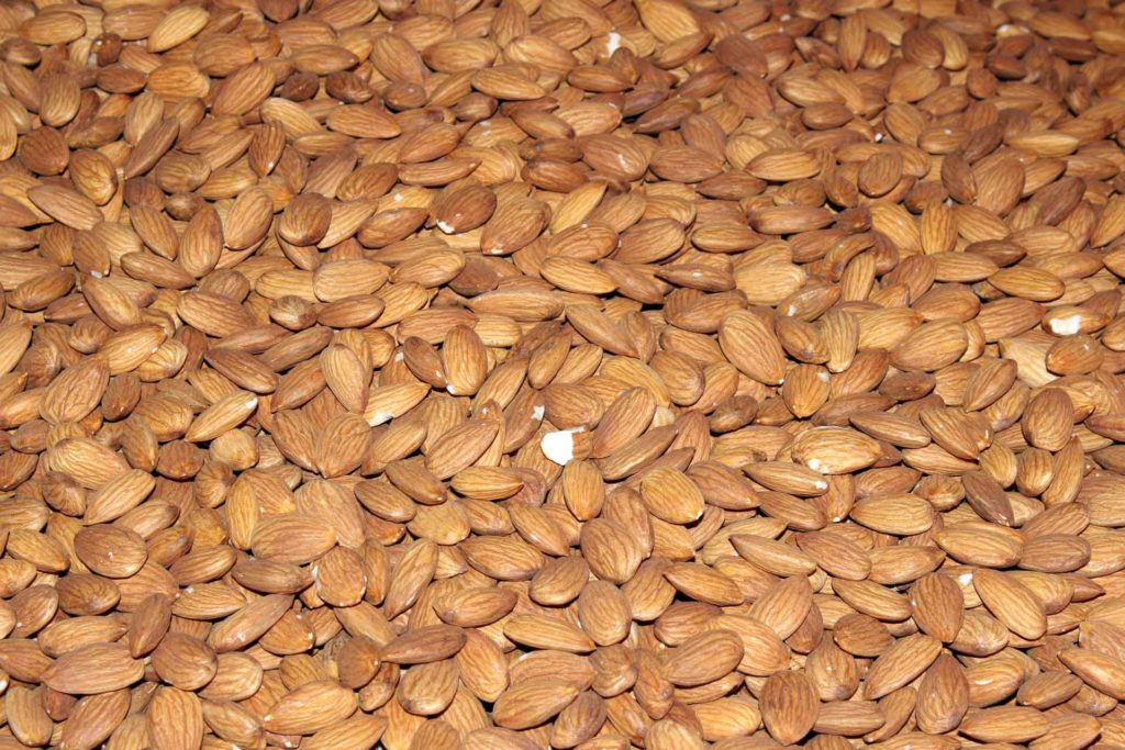Processed Almonds