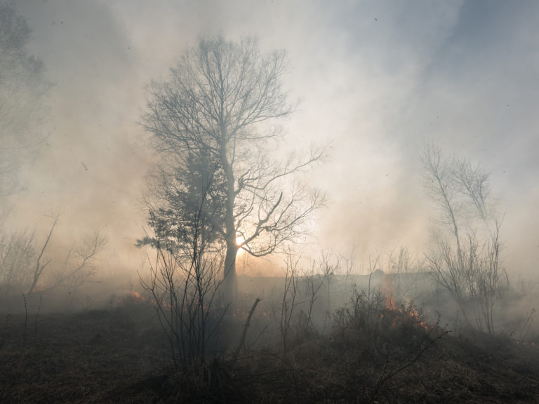 Emergency Wildfire Smoke Regulation Adopted
