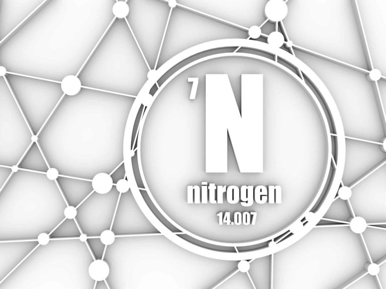 Nitrogen in Walnuts—What, When, Where and how Much