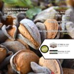 wcn-october-2019-e-version