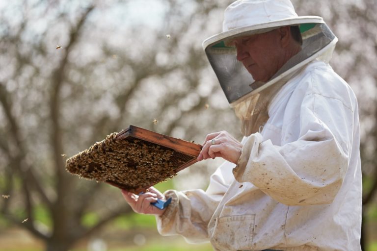 Beekeeper