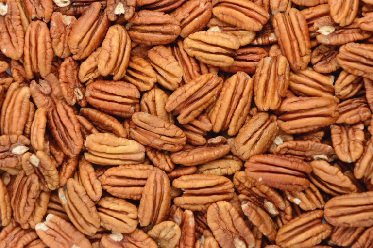 New Mexico Pecan Harvest