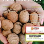 wcn-january-2020-web