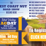 Summer-Shows-Website-300×250-01