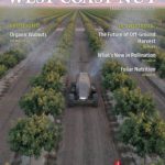 wcn-february-2020-web