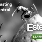 28572-58_VAL_EsteemBanners_1920x1080-2