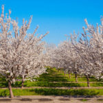 shutterstock_1031162515