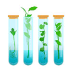 shutterstock_1145180888-[Converted]