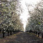 shutterstock_1646794375