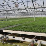 North American Plent 2