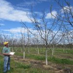 Evaluating in CRXID Block – Genomics data