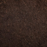 shutterstock_1413270422 (1)