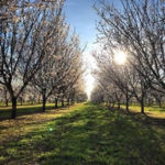 1-1-1 RVT in Butte County