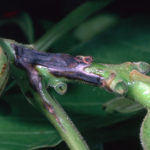 2-2-2 D-WA-XCAM-BT.005