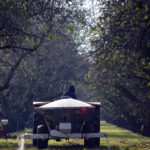 2-2-2 almond-fertility-2