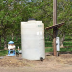 3-3-3 walnut-fertigation-3