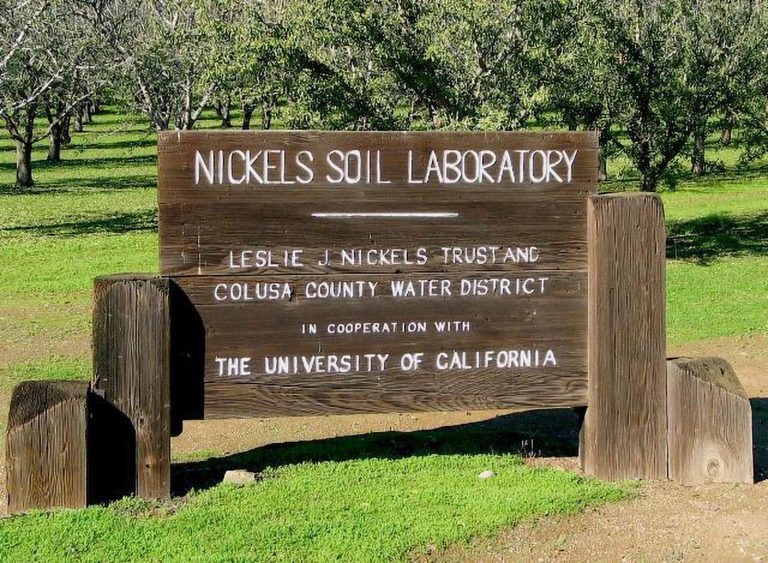 Nickels Soil Lab Research Update: Trials Go On Despite Loss of Valuable Field Day