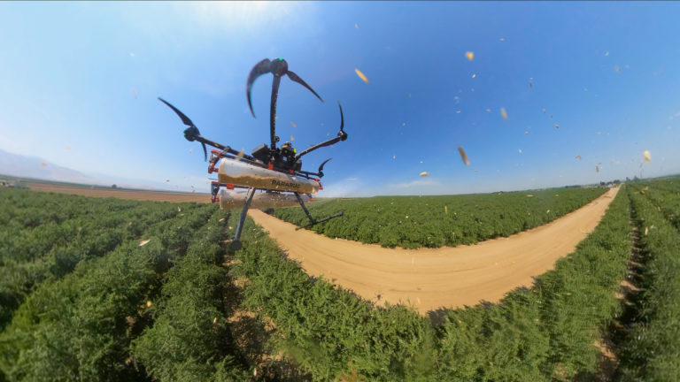 Biocontrol Taking Off with Drones