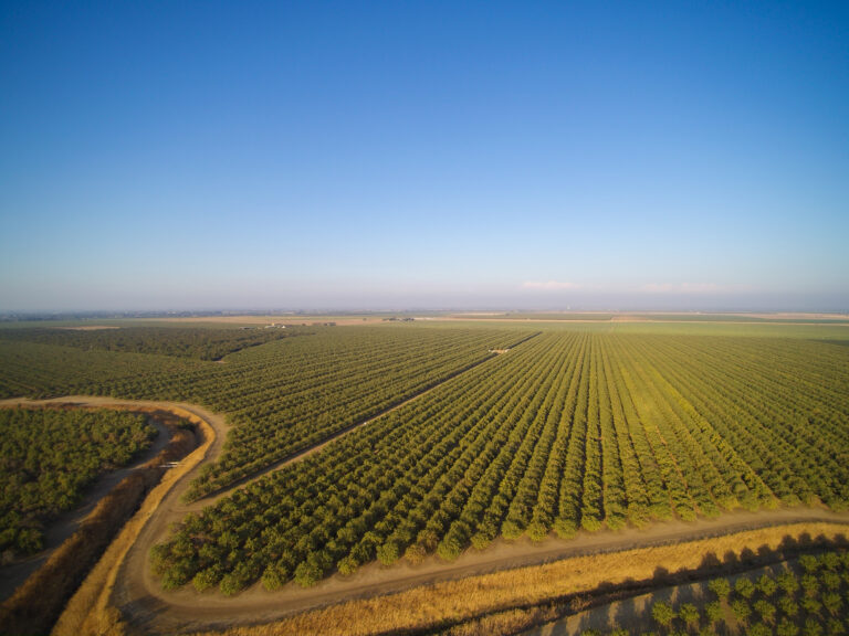 Wildfires at Harvest May Have Orchard Impacts