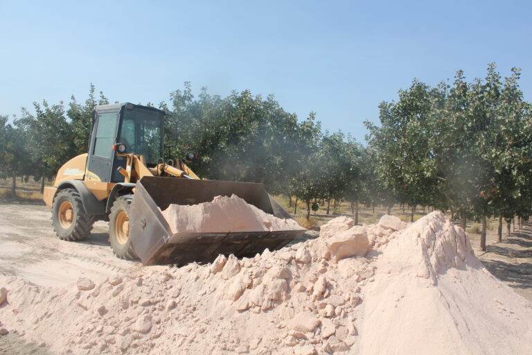 Post-Harvest Orchard Preparations