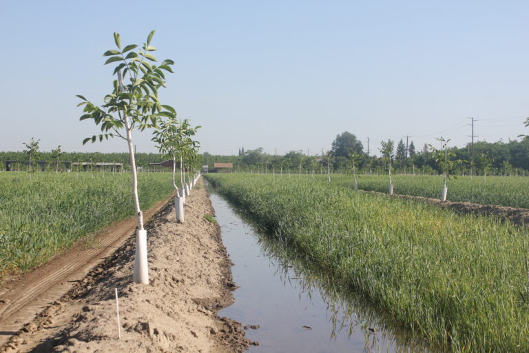 Fill The Orchard Profile This Fall