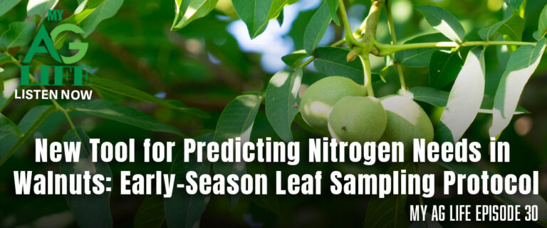 New Tool for Predicting Nitrogen Needs in Walnuts: Early-Season Leaf Sampling Protocol / My Ag Life Episode 30