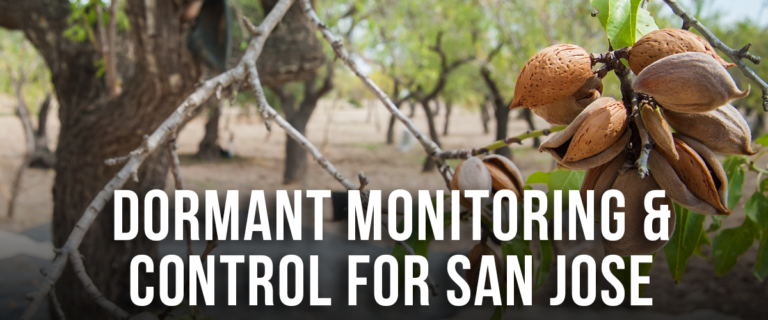 Dormant Monitoring and Control for San Jose Scale