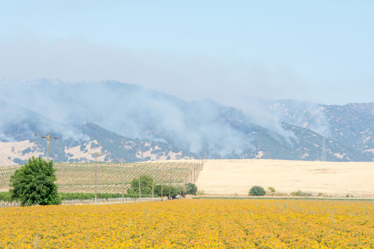 Governor Newsom Responds to Devastating Wildfires: Can Agriculture Survive His Response?