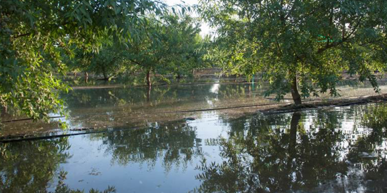 A Look at Groundwater Recharge