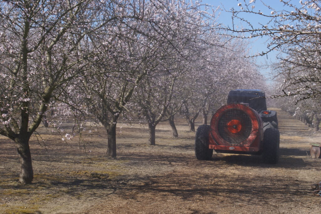 Pesticide Use During Almond Bloom | West Coast Nut