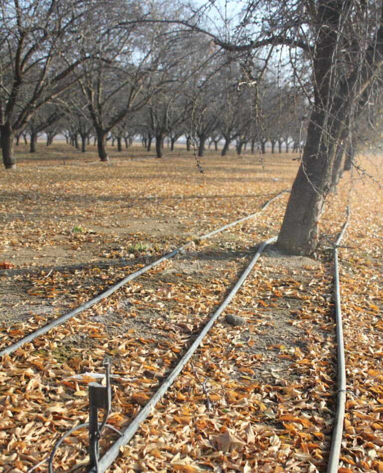 Smart Irrigation Technology Can Help with Water Management Decisions