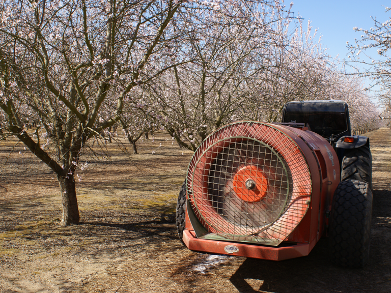 Fungicide Efficacy and Treatment Tables for Effective Sprays