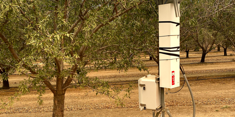 Smart Irrigation Technologies to Simplify Monitoring in Almond