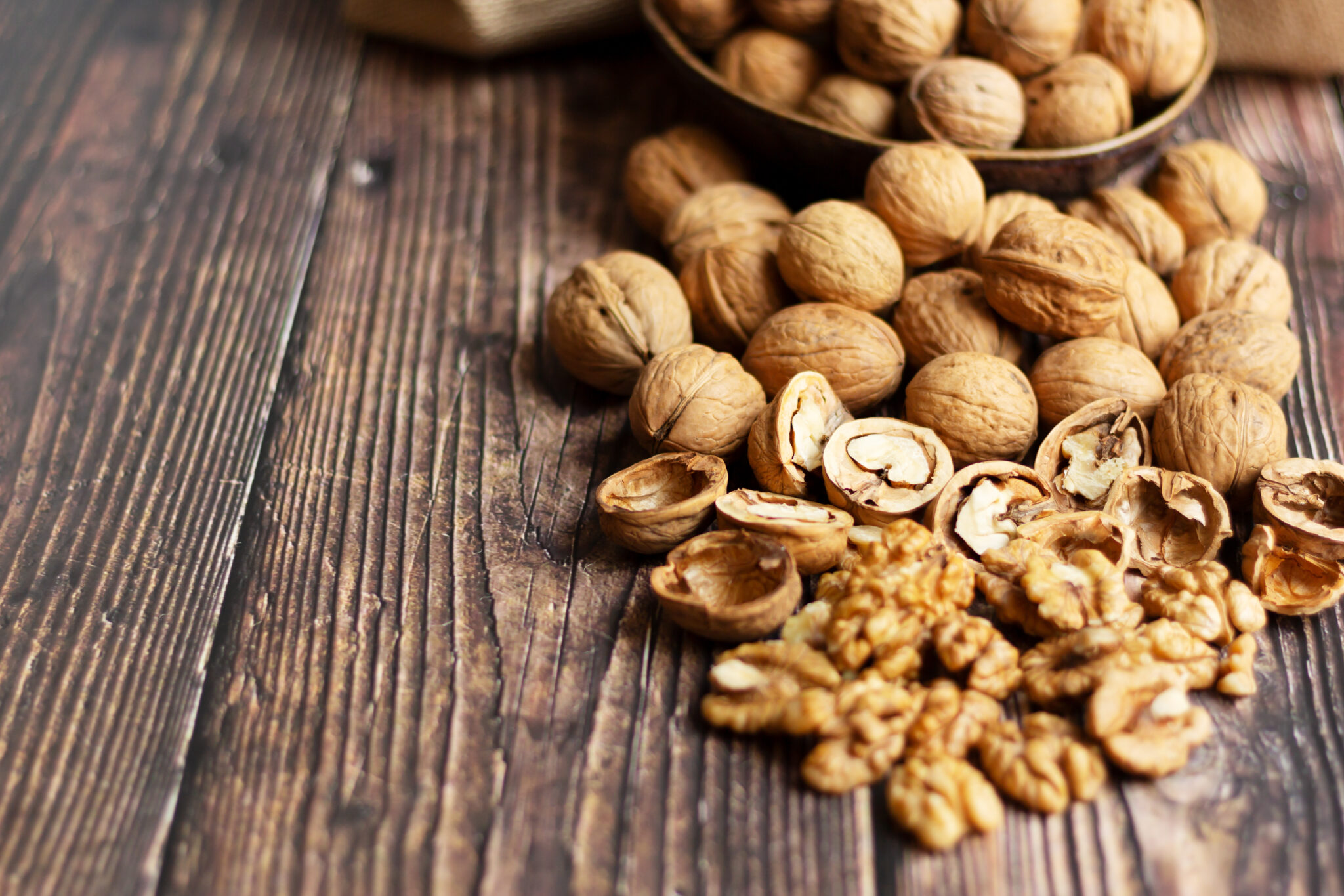 Optimism and Call for Unity at Recent Walnut Industry Conference West