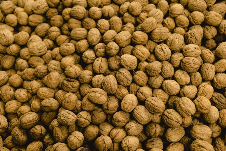 With Innovation at the Forefront, the California Walnut Industry Continues to Grow