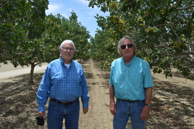 Pistachio Growers Make Significant Investments in Organics