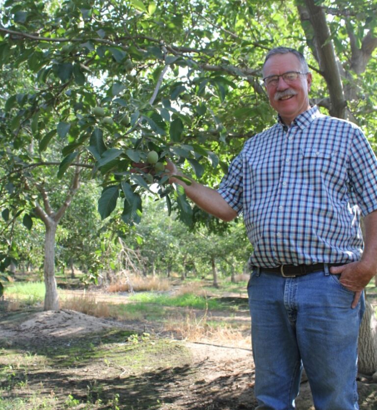 5 Things on a Walnut Grower’s Mind in September