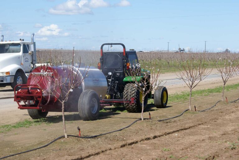 Precision Agriculture for Weed Management in Almond Orchards