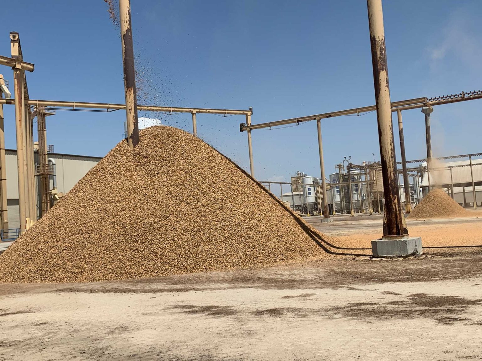 Almond Hull Prices are a Bright Spot for the Almond Industry West