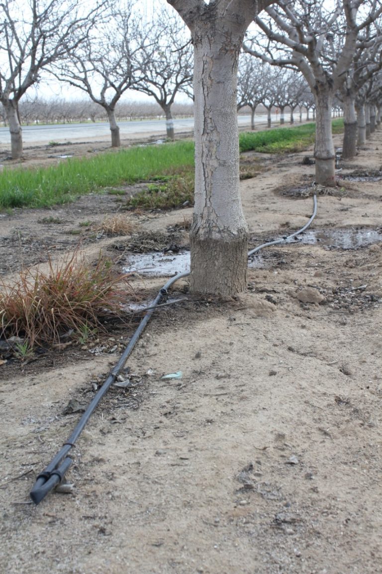 Five Things You Want Your Irrigation Manager to Know (Even If That’s You)