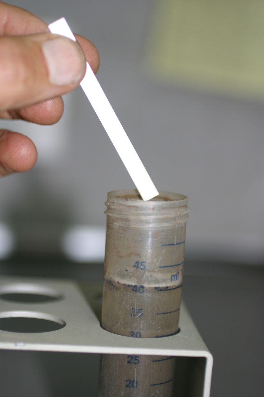 Five Important Things to Know About the Soil Before Planting an Orchard