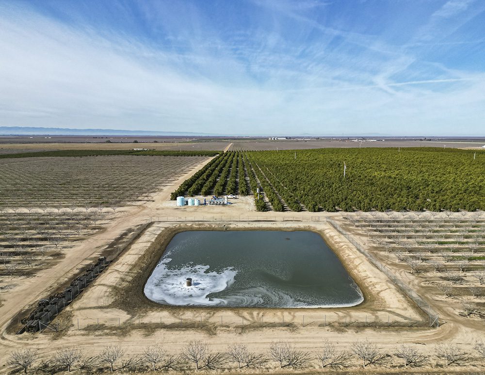 How to Prep Your Nut Orchard for Sale West Coast Nut