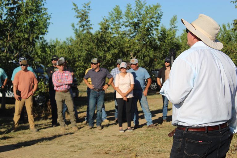 Researchers Present Data on Preplant Alternatives for Nematodes in Walnuts at Field Day